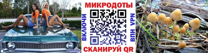 Псилоцибиновые грибы мицелий  купить наркотики цена  Киров 