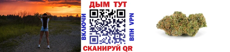 Конопля сатива  Киров 